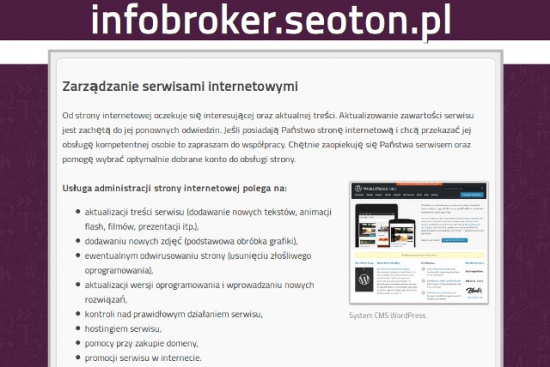Obsługa stron internetowych