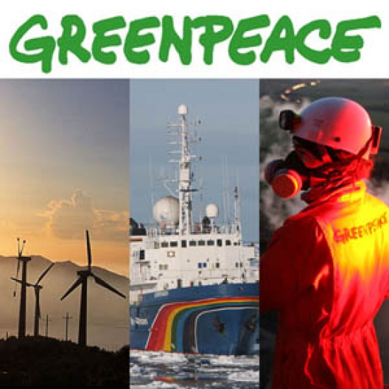 Specjalista ds. pozyskiwania funduszy Greenpeace- 12zł netto/h