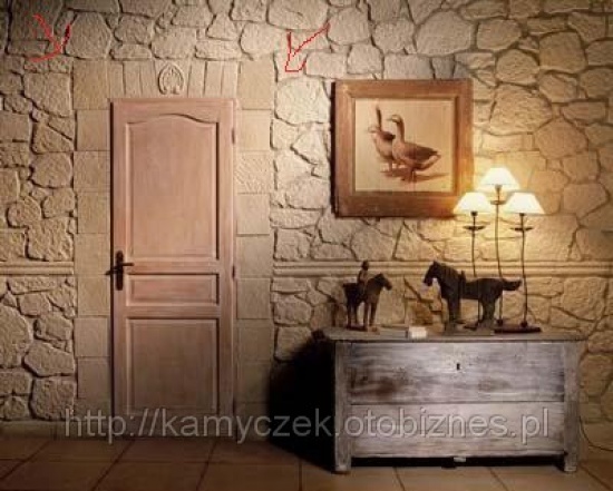 Kamień Dekoracyjny od 25zł za m2 
