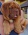 Dogue de Bordeaux - beautiful puppies with pedigree